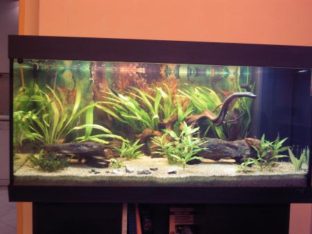 mon aquarium!
